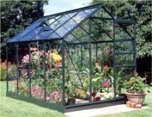 GREEN POPULAR 8ft x 6ft GREENHOUSE TOUGHENED